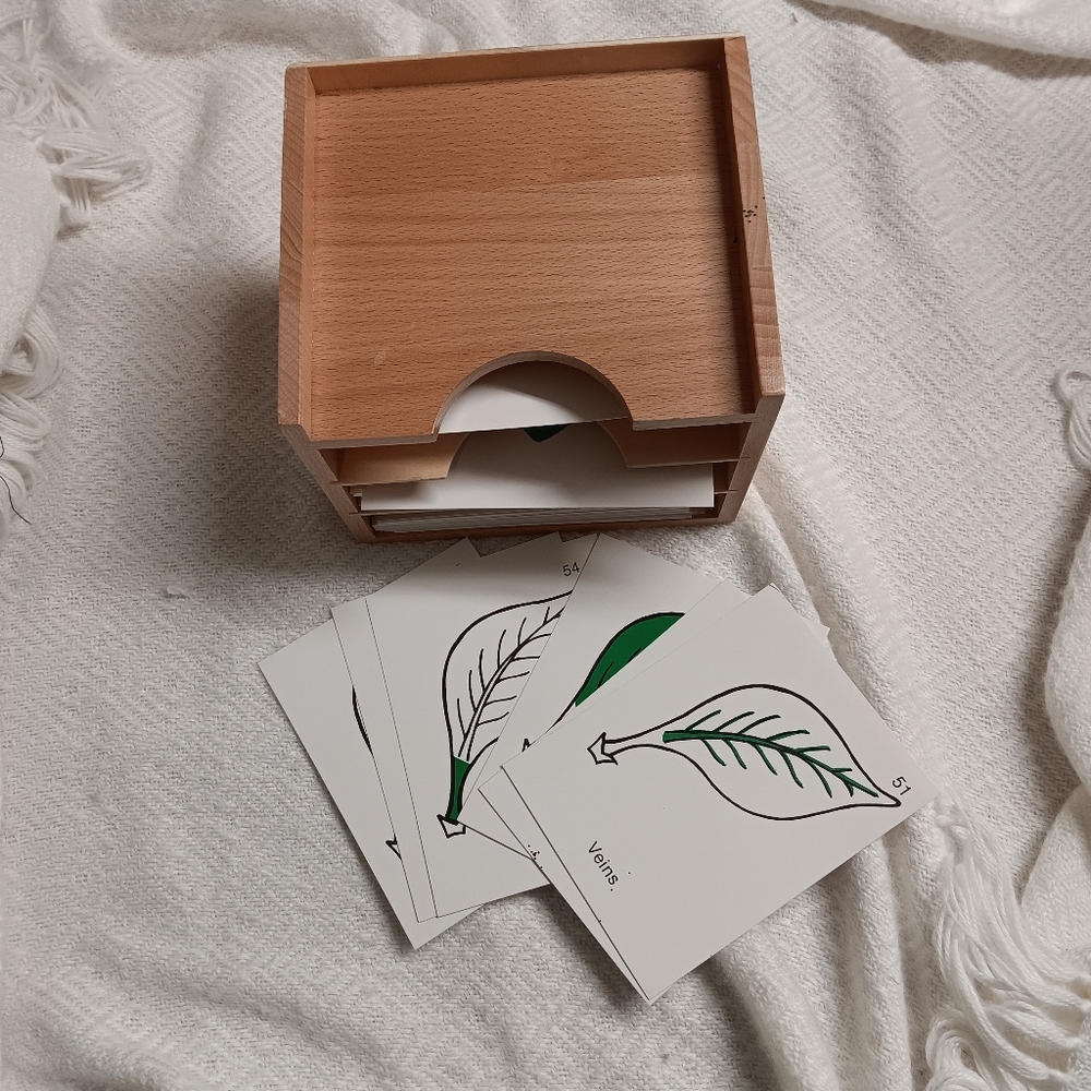 Montessori Parts of a Leaf Cards